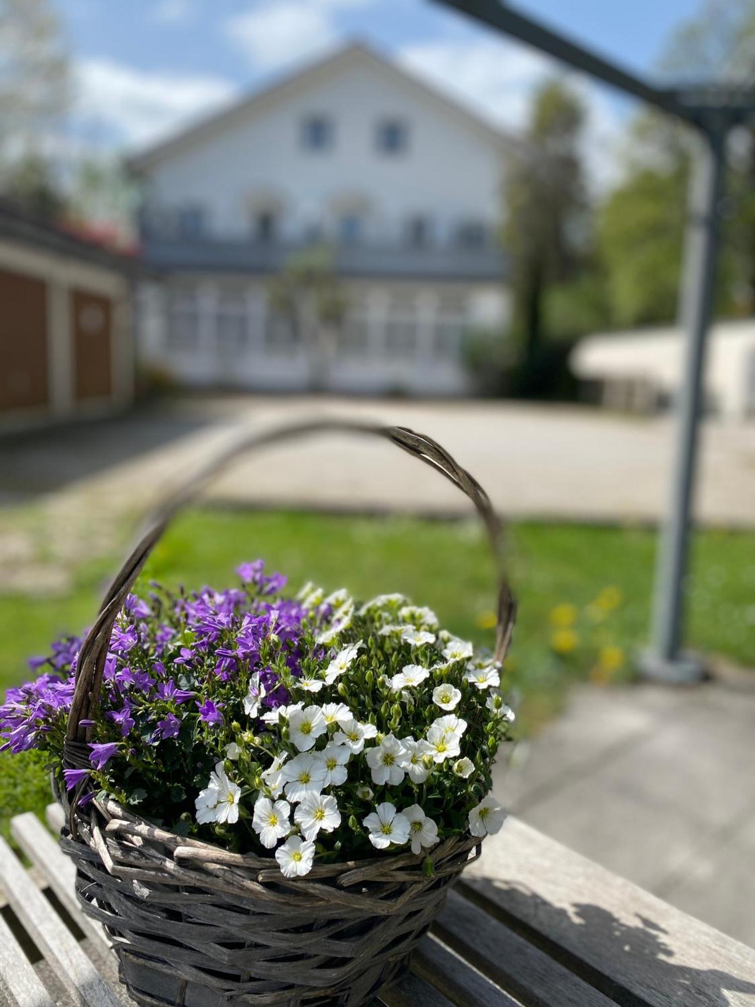 Ferienwohnung Am Franziskanergarten Bad Tölz Exteriör bild